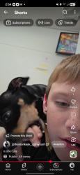 Reunited Female Dog last seen Stoneybrooke, Greeley, CO 80631