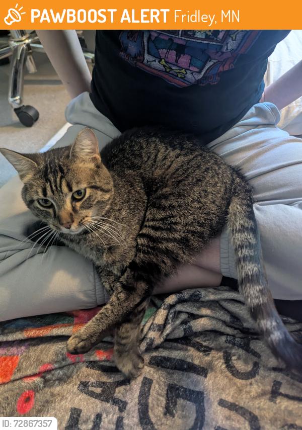 Found/Stray Unknown Cat last seen E Bavarian Pass & Innsbruck Drive, Fridley, MN 55432