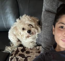 Lost Male Dog last seen Romona & Webster near chevron gas station , Perris, CA 92571