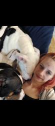 Lost Male Dog last seen Newport Police department , Newport, AR 72112