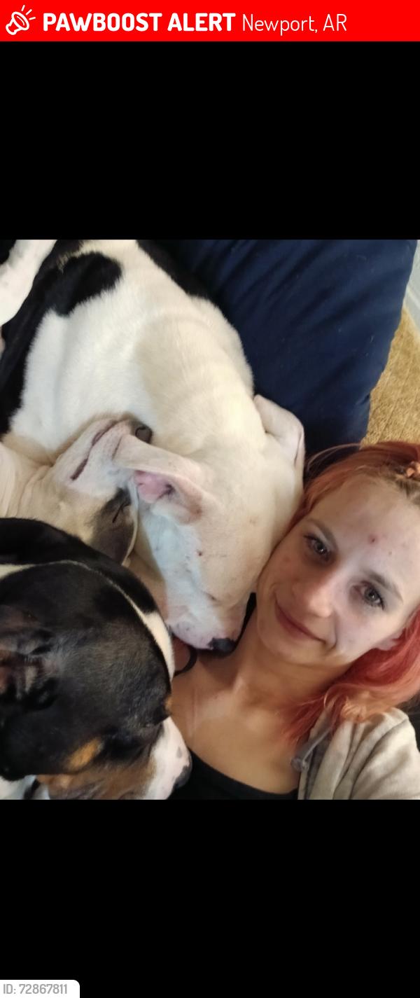 Lost Male Dog last seen Newport Police department , Newport, AR 72112