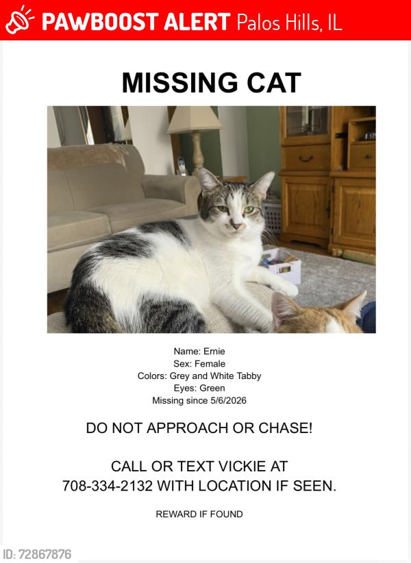 Lost Female Cat last seen Kean Ave and 111th Street, Palos Hills, IL 60465
