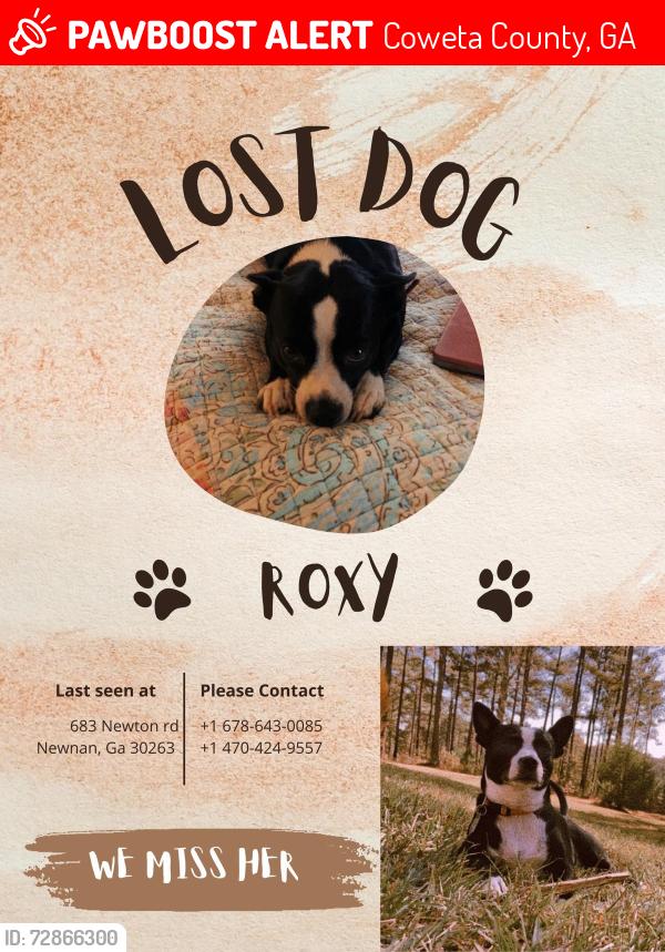Lost Female Dog last seen Newnan, ga, Coweta County, GA 30263