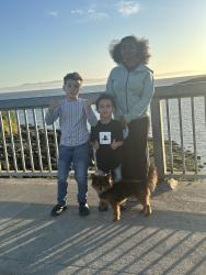 Lost Male Dog last seen Haiwatha ave , Stockton, CA 95205