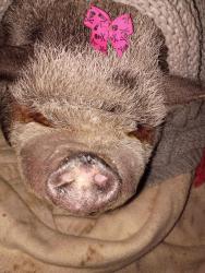 Lost Female Other last seen Ave V, Llano, CA 93544