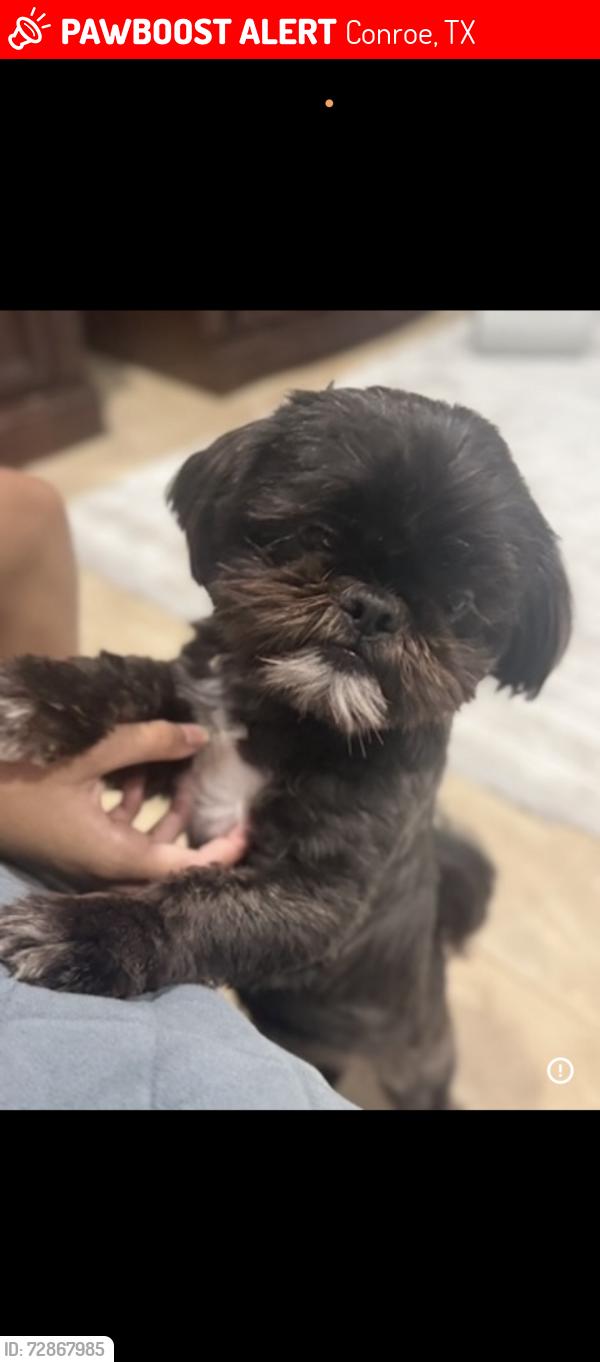 Lost Male Dog last seen Las Cuevas dr in Ladera Trails, Conroe, TX 77301