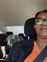 Reunited Male Dog last seen Lee landing , New Bern, NC 28560