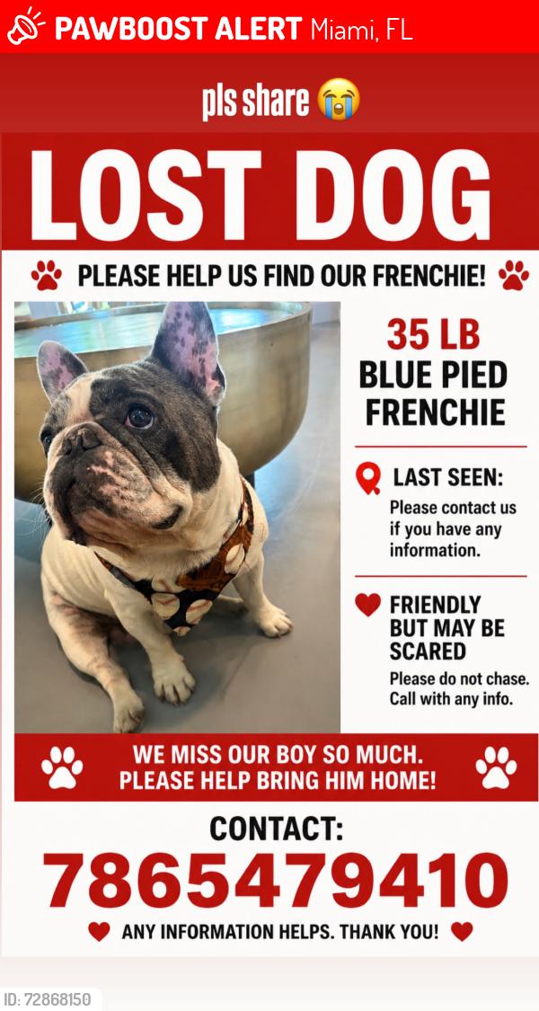 Lost Male Dog last seen 97fh ave coral wat, Miami, FL 33165