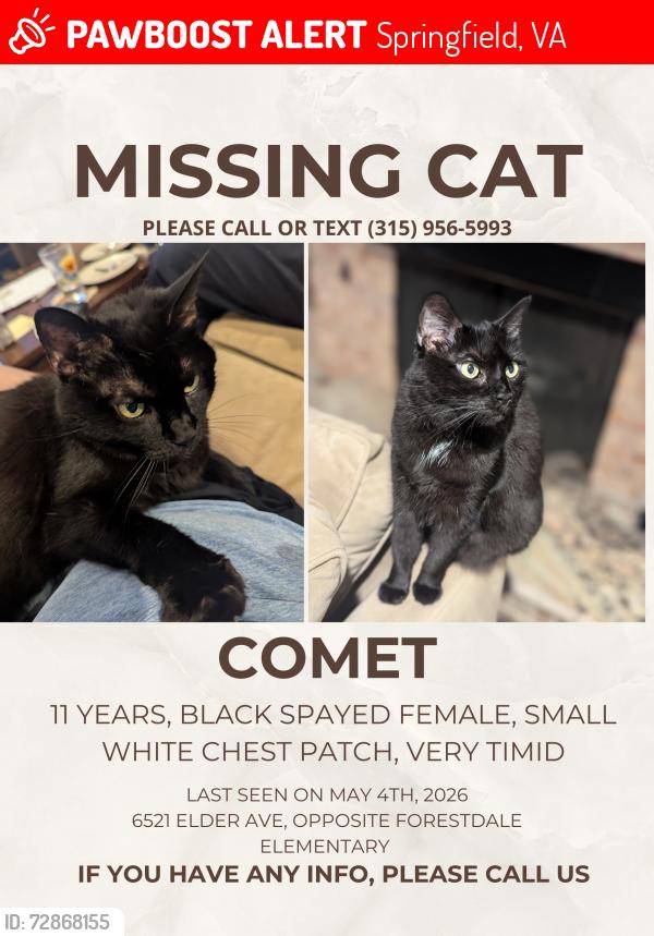 Lost Female Cat last seen Elder Avenue and Summerton Way, opposite Forestdale Elementary , Springfield, VA 22150