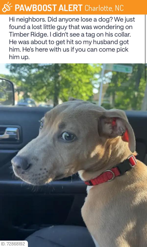 Found/Stray Male Dog last seen Timber Ridge Road, Charlotte, NC 28213