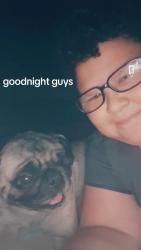 Lost Female Dog last seen Rushing and Orleans ave, El Paso, TX 79924