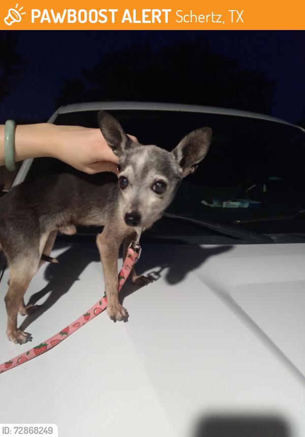 Found/Stray Male Dog last seen Woodland oaks, Schertz, TX 78154