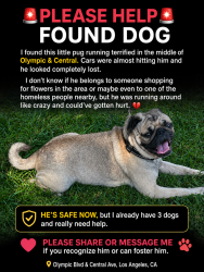 Found/Stray Male Dog last seen Olympic and Central Los Angeles , Los Angeles, CA 90021