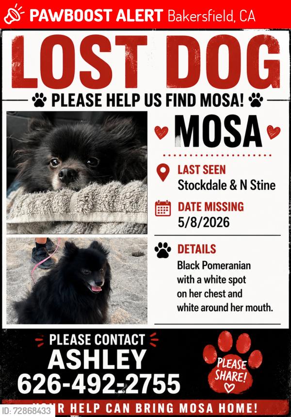 Lost Female Dog last seen stockdale , Bakersfield, CA 93309