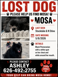 Lost Female Dog last seen stockdale , Bakersfield, CA 93309