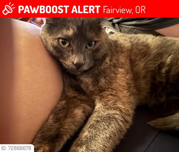 Lost Female Cat last seen Bridge street, Fairview, OR 97024