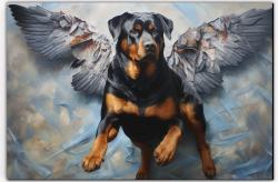 Lost Male Dog last seen Neighborhood Walmart Cliffdale, Fayetteville, NC 28304