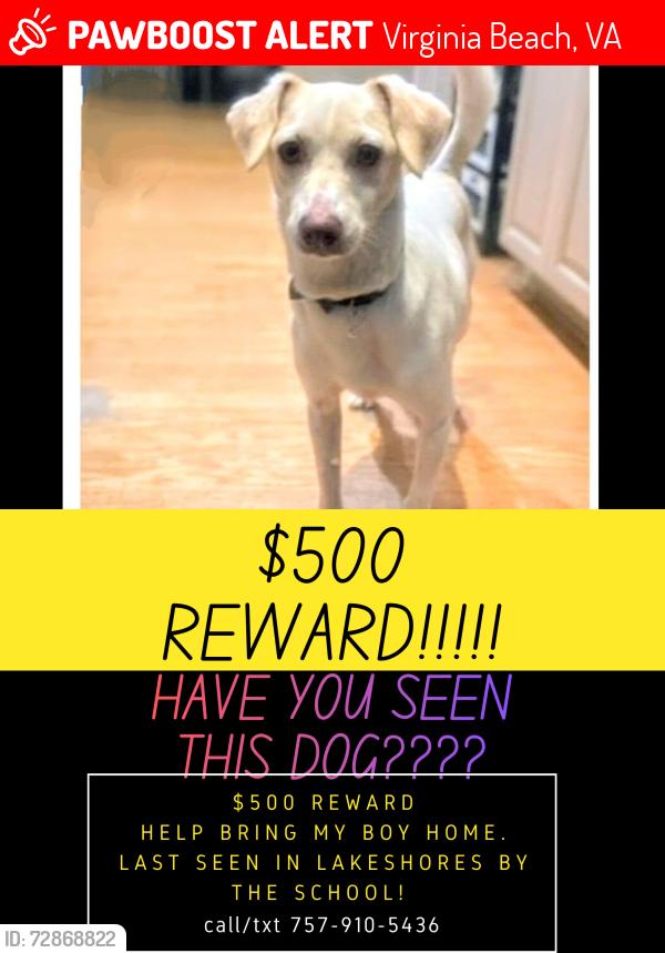 Lost Male Dog last seen  @1917 INDEPENDENCE BLVD NEAR LITTLE CREEK NAVAL BASE AND LAKESHORES NEIGHBORHOOD , Virginia Beach, VA 23455