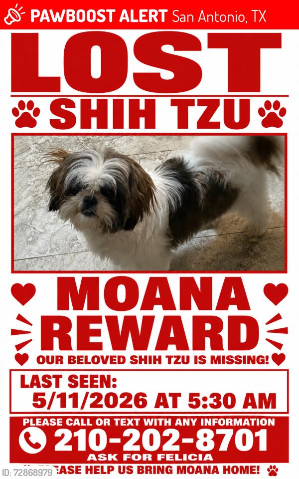 Lost Female Dog last seen Forest Mont St. and Forest ledge. Forest oaks community in Leon Valley, San Antonio, TX 78240