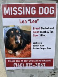 Lost Female Dog last seen Sycamore/Melrose, Vista, Vista, CA 92081