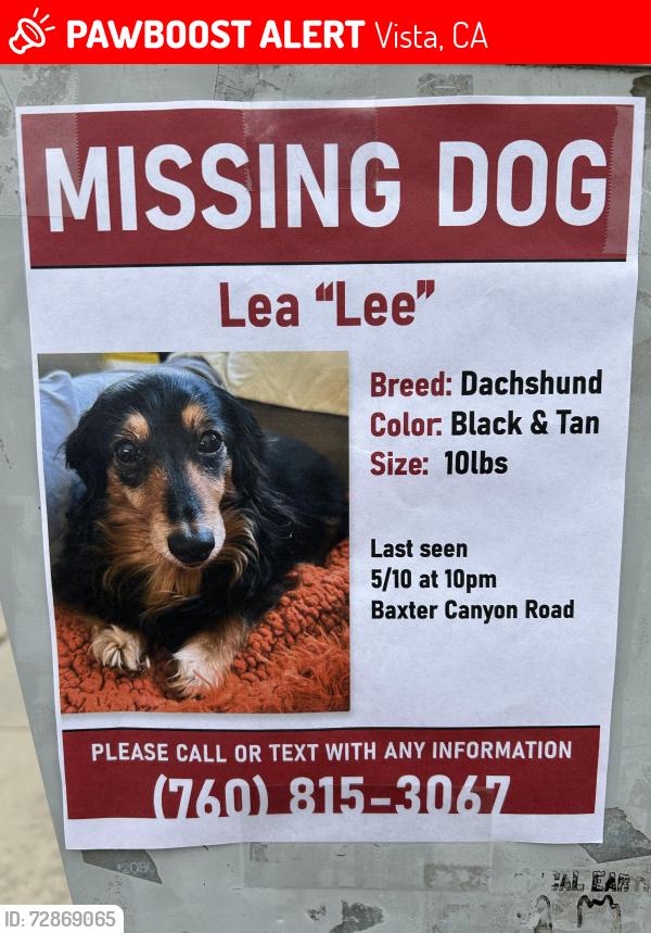 Lost Female Dog last seen Sycamore/Melrose, Vista, Vista, CA 92081
