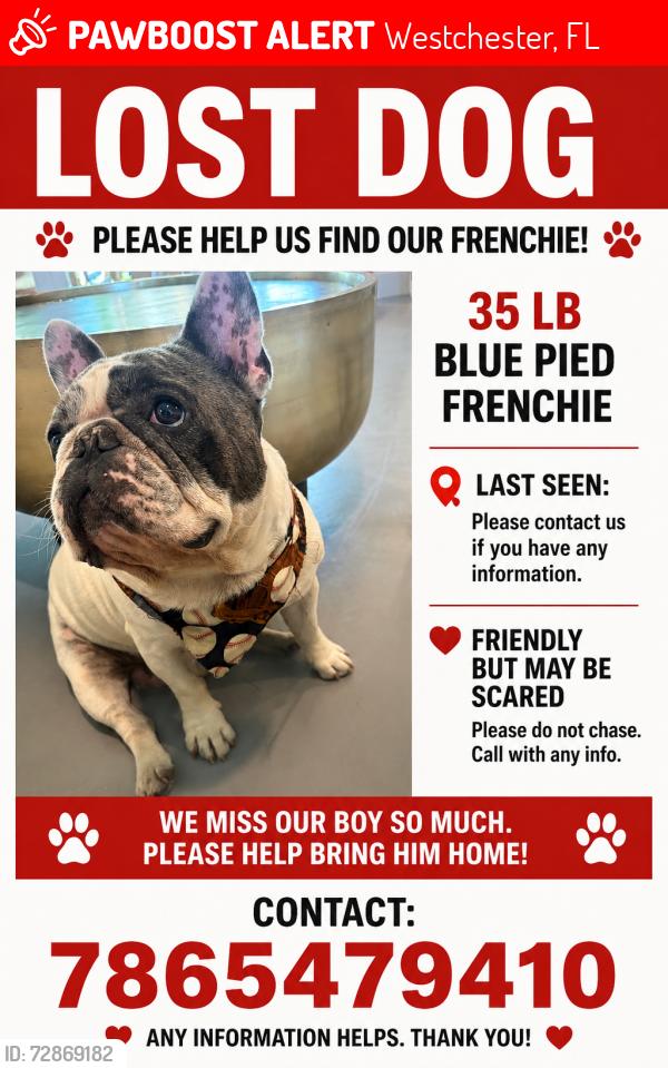 Lost Male Dog last seen Near Ave and 16 st , Westchester, FL 33165