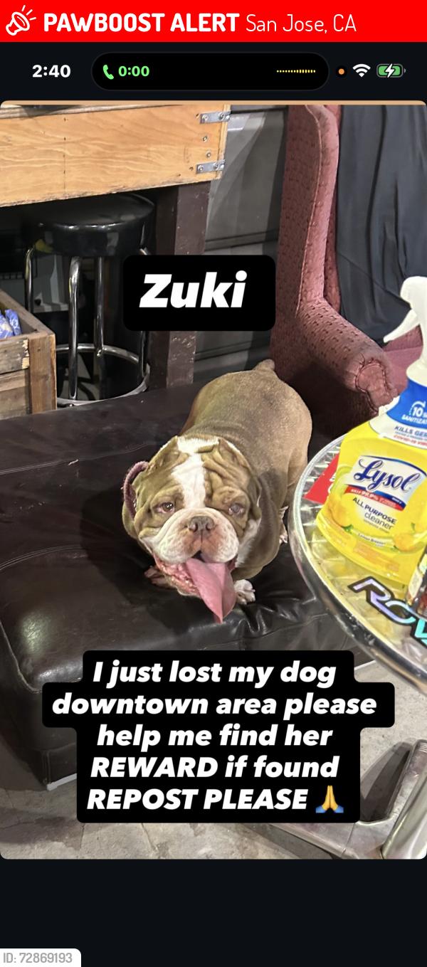 Lost Female Dog last seen S Almaden ave San Jose ca, San Jose, CA 95110