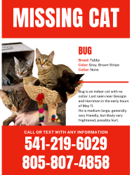 Lost Male Cat last seen NW Harriman & Georgia , Bend, OR 97703