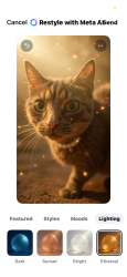 Lost Female Cat last seen Waldron rd, La Vergne, TN 37086