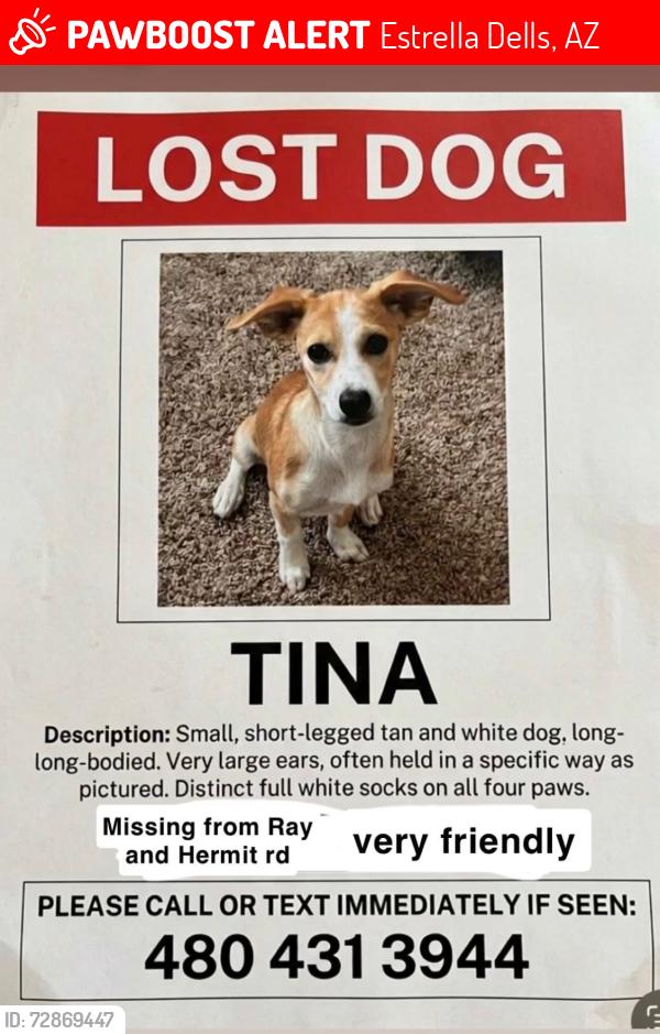 Lost Female Dog last seen Ray & Hermit rd, Estrella Dells, AZ 85326