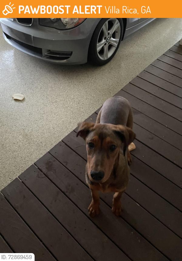Found/Stray Female Dog last seen Daniel and Edge Road, Villa Rica, GA 30180