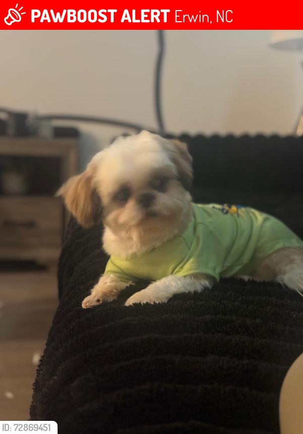Lost Male Dog last seen N 14th st & W M st, Erwin nc, 28339, Erwin, NC 28339