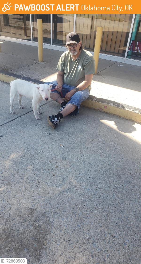 Found/Stray Male Dog last seen 10th and Tulsa nw, Oklahoma City, OK 73107