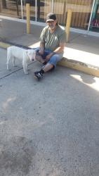 Found/Stray Male Dog last seen 10th and Tulsa nw, Oklahoma City, OK 73107