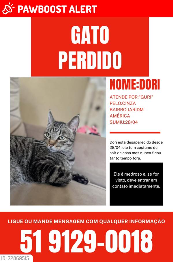 Lost Male Cat last seen Avenida Johny Kennedy e proximidades, ele sumiu na rua Jaime Zeltzer, Jardim America, RS 93035-250
