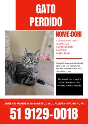 Lost Male Cat last seen Avenida Johny Kennedy e proximidades, ele sumiu na rua Jaime Zeltzer, Jardim America, RS 93035-250