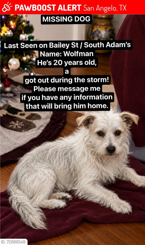 Lost Male Dog last seen South Adam’s st, San Angelo, TX 76901