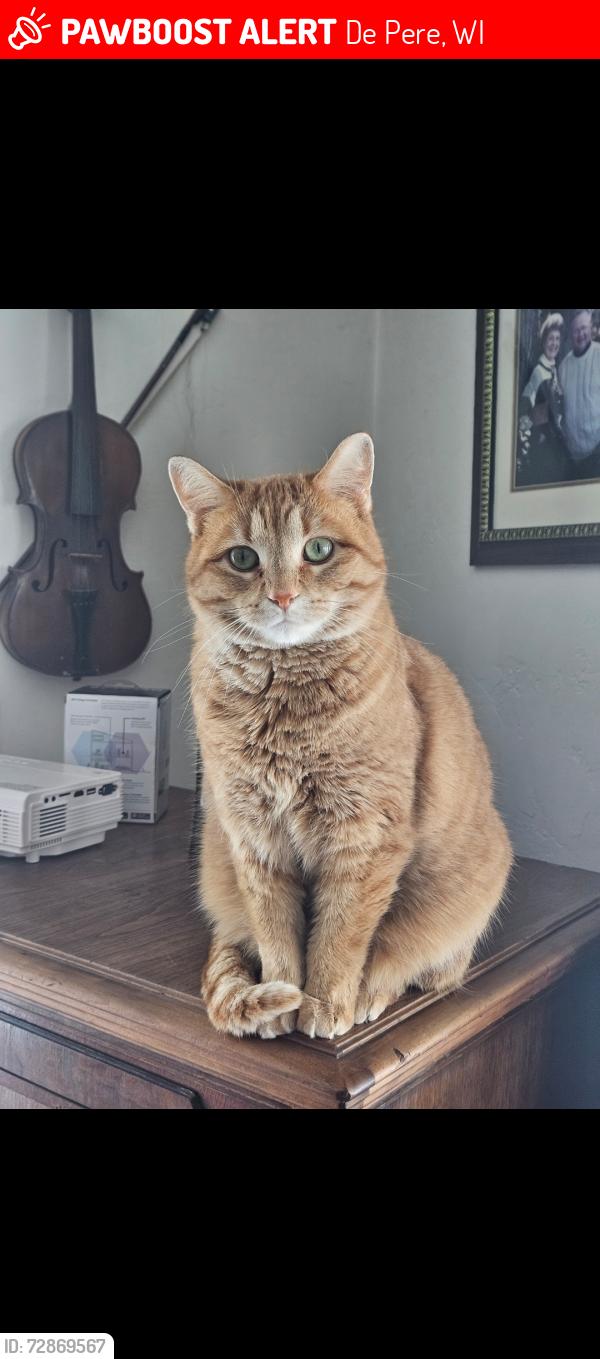 Lost Female Cat last seen Prestige roofing, Grant street, Bain Brooke subdivision , De Pere, WI 54115