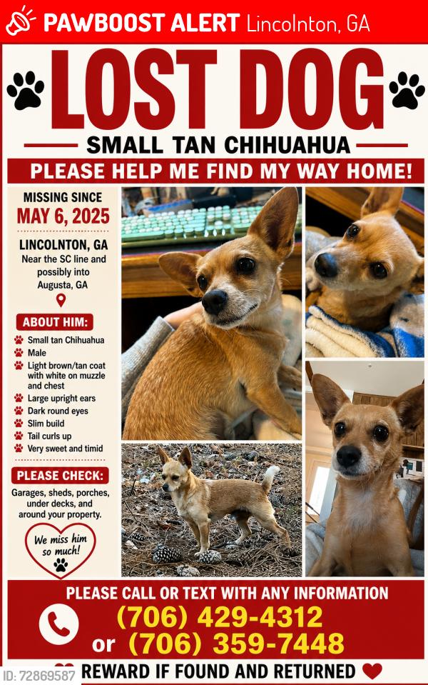 Lost Male Dog last seen Indian rd, Lincolnton, GA 30817