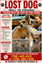 Lost Male Dog last seen Indian rd, Lincolnton, GA 30817