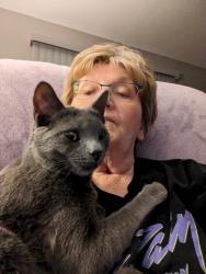 Lost Male Cat last seen O Ave & 21st Street NW, Cedar Rapids, IA 52405
