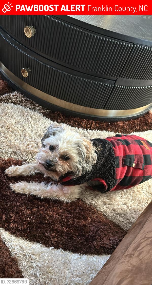 Lost Male Dog last seen zebulon/bunn area, Franklin County, NC 27597