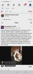 Lost Male Dog last seen Near 6th St Bridge - Bob Evans - Credit Union , Huntington, WV 25701
