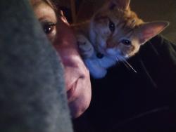 Lost Male Cat last seen Near 206th st ct east graham wa 98338 Near Graham elementary , Graham, WA 98338