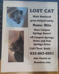 Lost Male Cat last seen Canyon Springs drive & Oak Springs drive, Canyon Lake, TX 78133