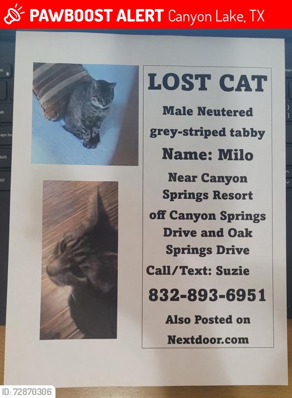 Lost Male Cat last seen Canyon Springs drive & Oak Springs drive, Canyon Lake, TX 78133