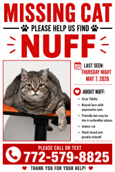 Lost Male Cat last seen Bell and Sunrise, St. Lucie County, FL 34945