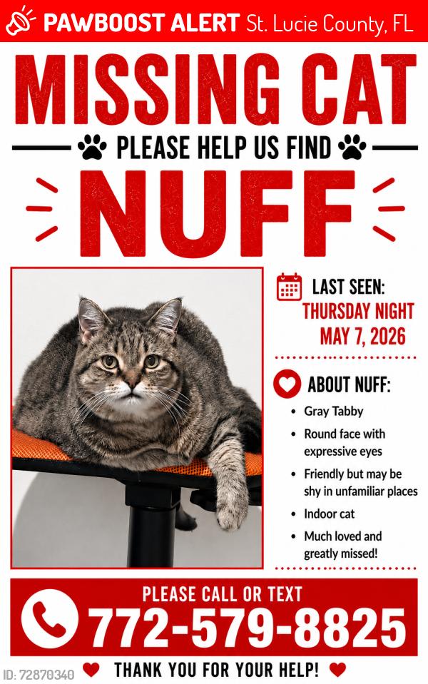 Lost Male Cat last seen Bell and Sunrise, St. Lucie County, FL 34945