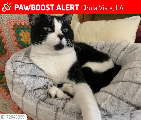 Lost Male Cat last seen Near Mendocino Dr, Chula Vista, CA 91911