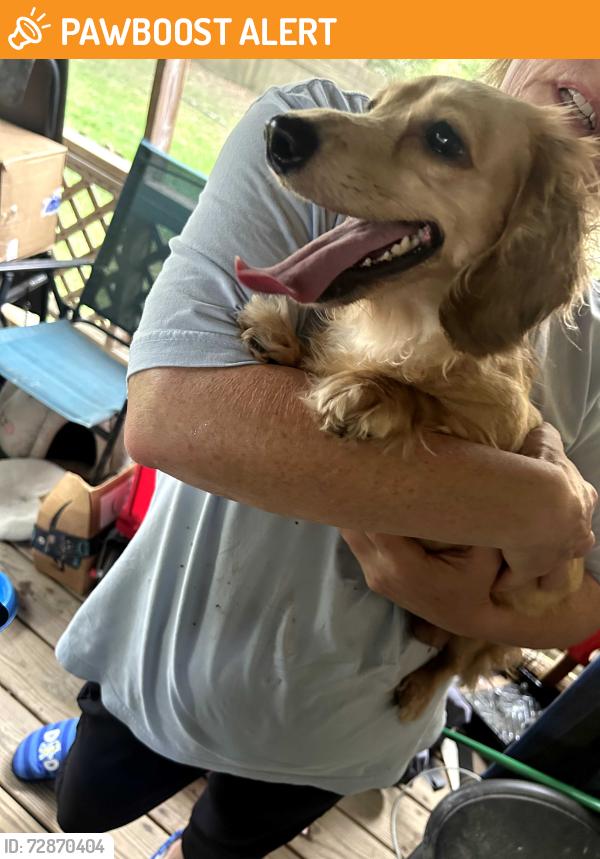Found/Stray Unknown Dog last seen Barksdale and chemstrand, North Northwest Pensacola, FL 32514
